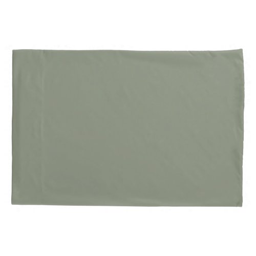 Medium Sage Green Solid Color Pairs 424_4DB Pillow Case