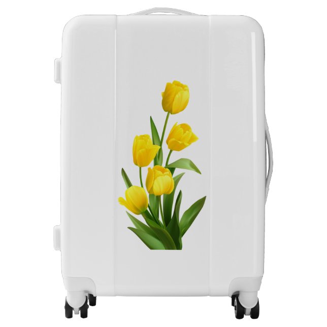 Medium Sized Luggage Suitcase (Front)