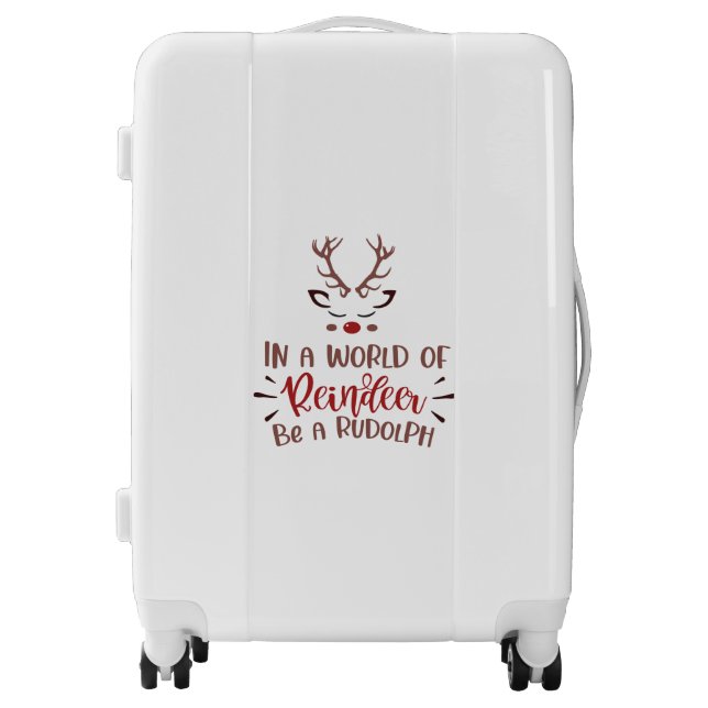 Medium Sized Luggage Suitcase (Front)