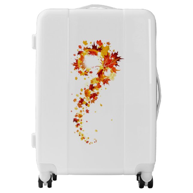 Medium Sized Luggage Suitcase (Front)