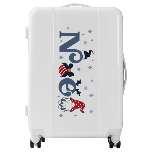 Medium Sized Luggage Suitcase (Front)