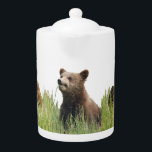 medium teapot of grizzly bear cubs<br><div class="desc">medium teapot of grizzly bear cubs  Created by bearsandmore</div>