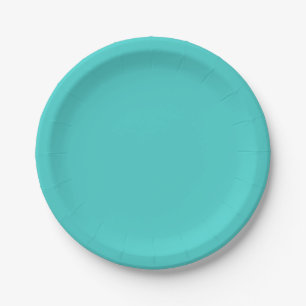 Medium Turquoise Solid Color Paper Plates