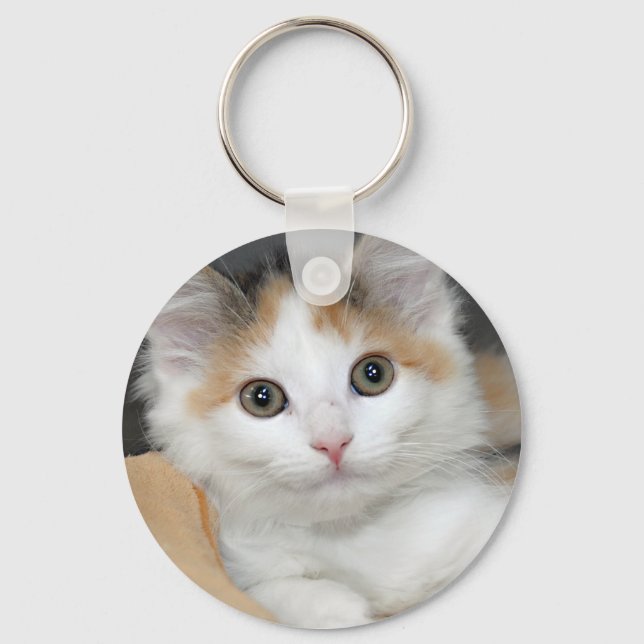 Mediumhair Calico Shelter Kitten Keychain (Front)