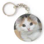 Mediumhair Calico Shelter Kitten Keychain