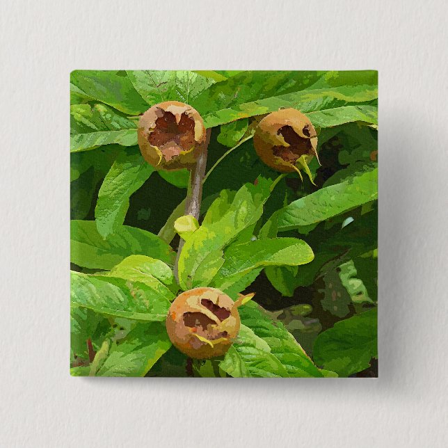 MEDLAR FRUIT PINBACK BUTTON (Front)