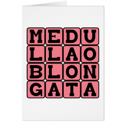 Medulla Oblongata, Lower Brain Stem Cards (Front)