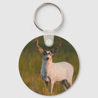 Meeker's White Buck 2 Keychain