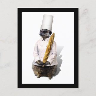 Meercat Chef  With Baguette Postcard