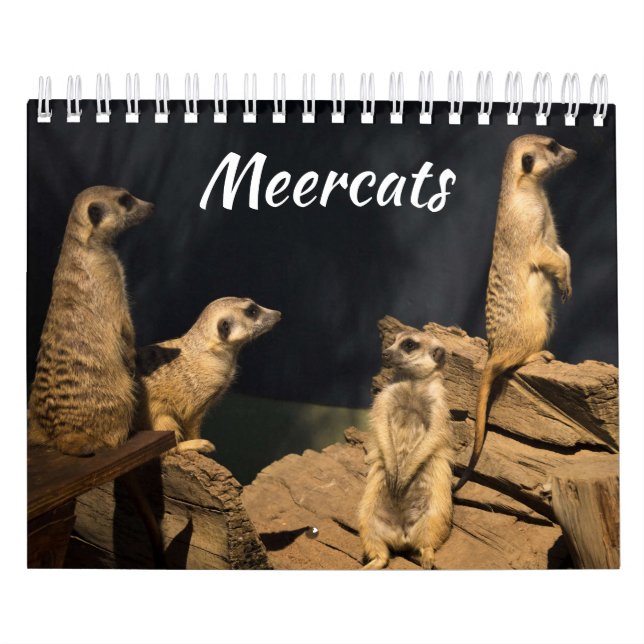 Meercats Calendar (Cover)