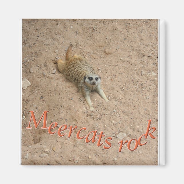 Meercats rock ! magnet (Front)