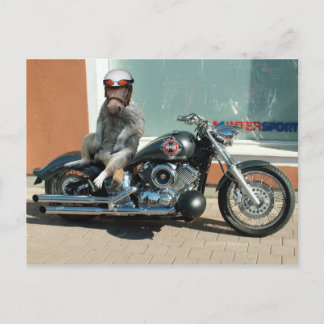Meerhorse biker postcard