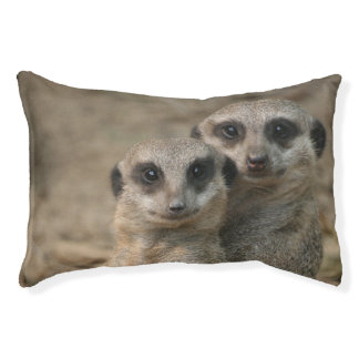 Meerkat090 Pet Bed
