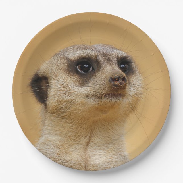 Meerkat2011101 Paper Plates (Front)