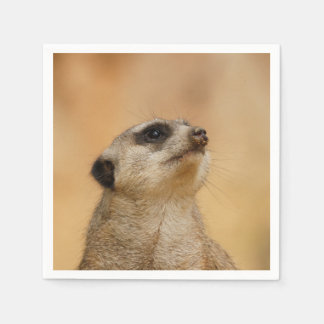 Meerkat20151002 Paper Napkins