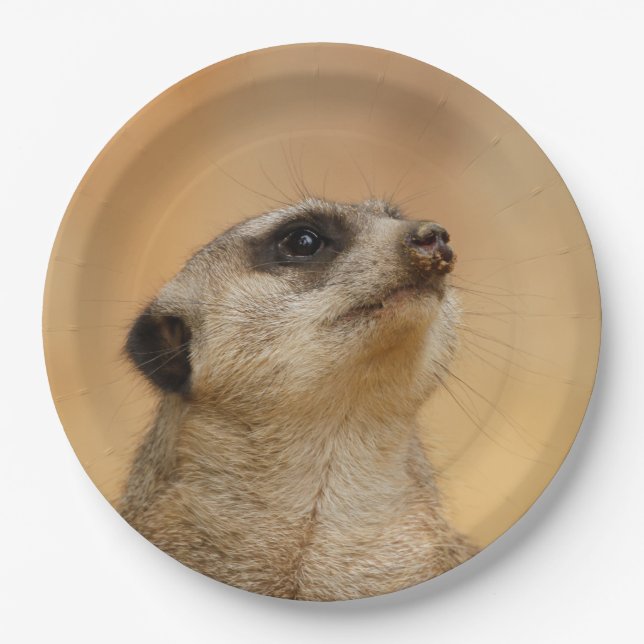 Meerkat20151002 Paper Plates (Front)