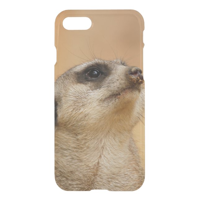 Meerkat20151002 Uncommon iPhone Case (Back)