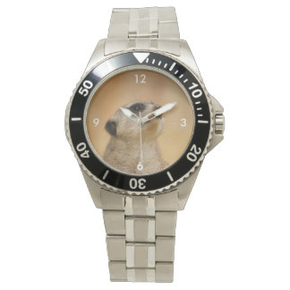 Meerkat_001_by_JAMFoto Watch