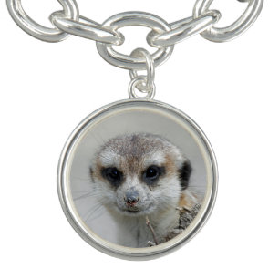 Meerkat 001 charm bracelet
