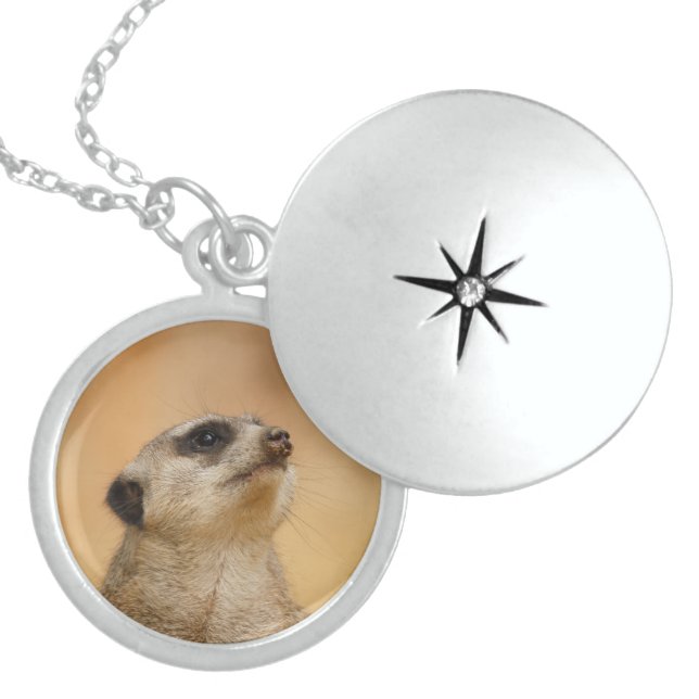 Meerkat_001 Locket Necklace (Front)