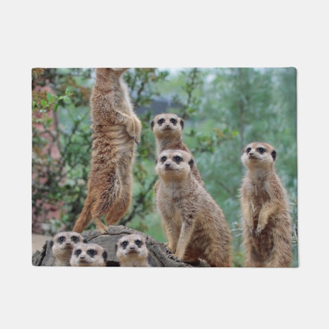 Meerkat_003 Doormat (Front)