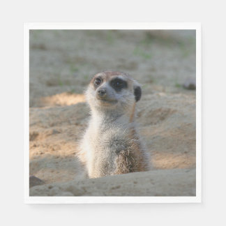 Meerkat 004 napkins