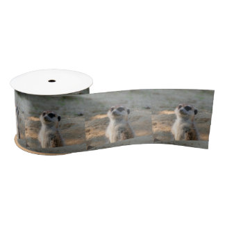 Meerkat 004 satin ribbon