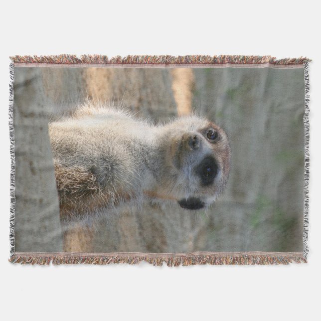Meerkat 004 throw blanket (Front)