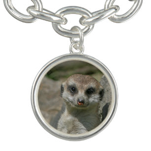 Meerkat 005 charm bracelet