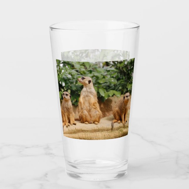 Meerkat 008 glass (Front)