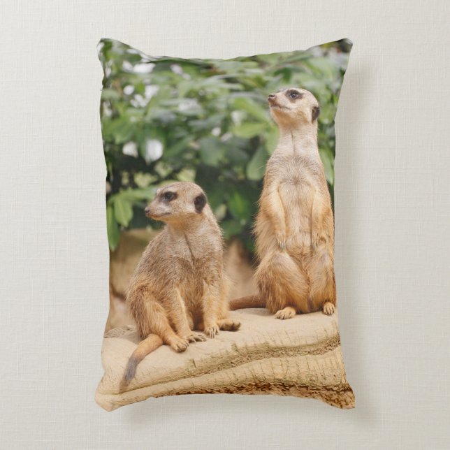 Meerkat 009 accent pillow (Front(Vertical))