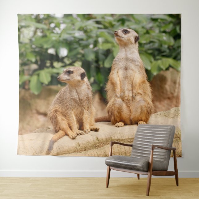 Meerkat 009 tapestry (In Situ (Horizontal))