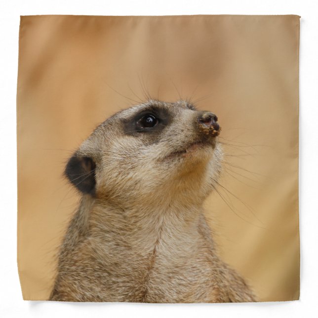 Meerkat 011 bandana (Front)