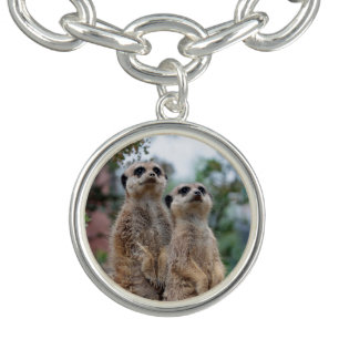Meerkat 013 charm bracelet