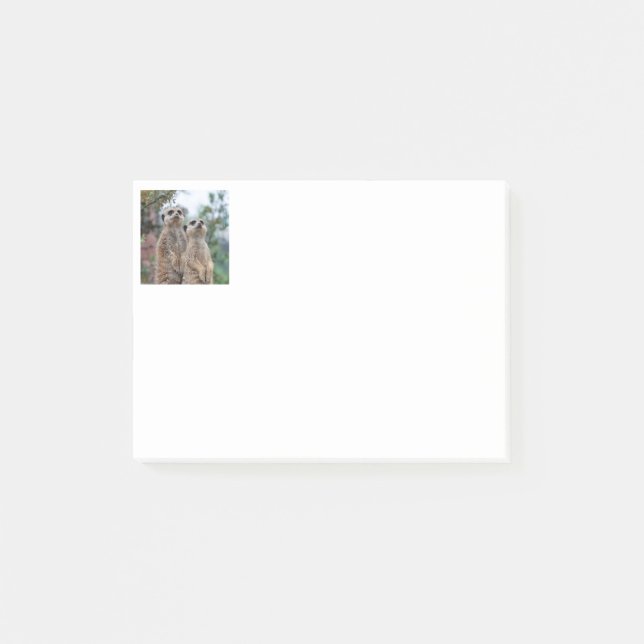 Meerkat 013 post-it notes (Front)