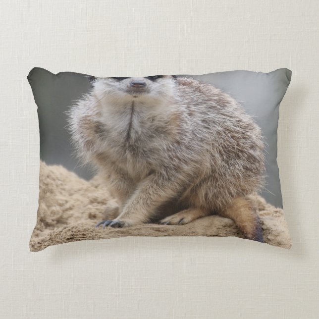 Meerkat 021 accent pillow (Front)