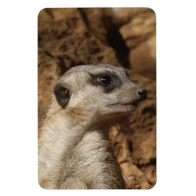 Meerkat 029 magnet (Vertical)