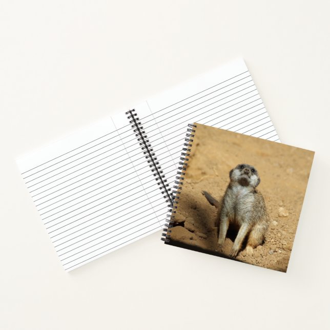 Meerkat 031 notebook (Inside)