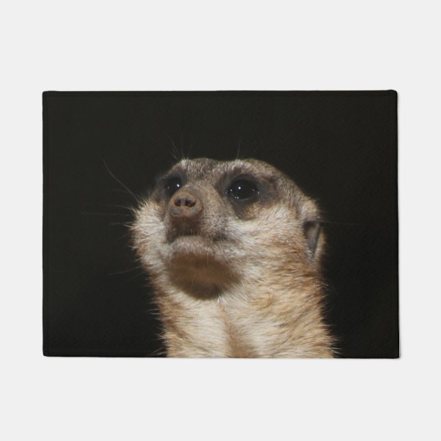 Meerkat 032 doormat (Front)