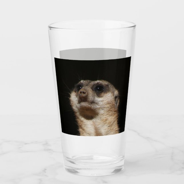 Meerkat 032 glass (Front)