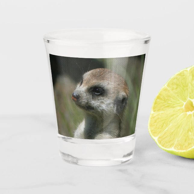 Meerkat 043 shot glass (Front)