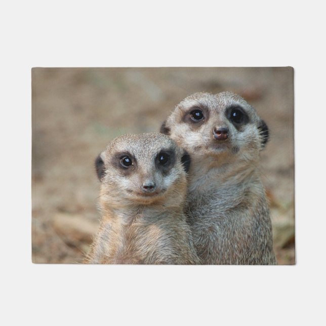 Meerkat 047 doormat (Front)