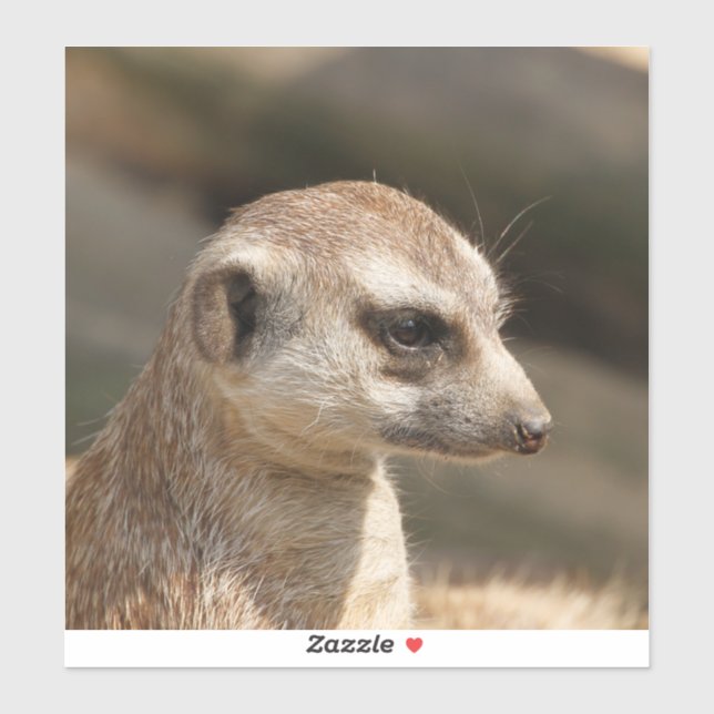 Meerkat 048 sticker (Sheet)
