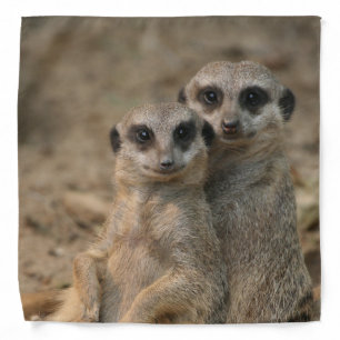 Meerkat 067 bandana