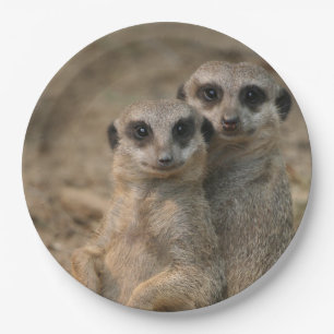 Meerkat 067 paper plates