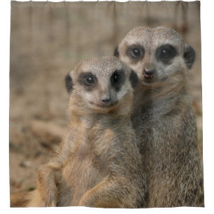 Meerkat 067 shower curtain