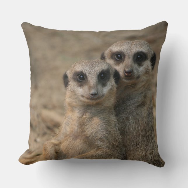 Meerkat 067 throw pillow (Front)
