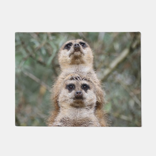 Meerkat 081 doormat (Front)