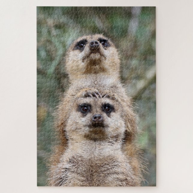 Meerkat 081 jigsaw puzzle (Vertical)