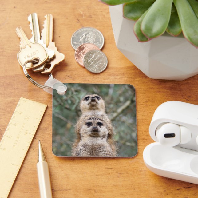 Meerkat 081 keychain (Desk)
